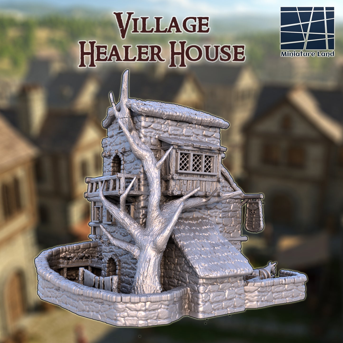 Village Healer House 3