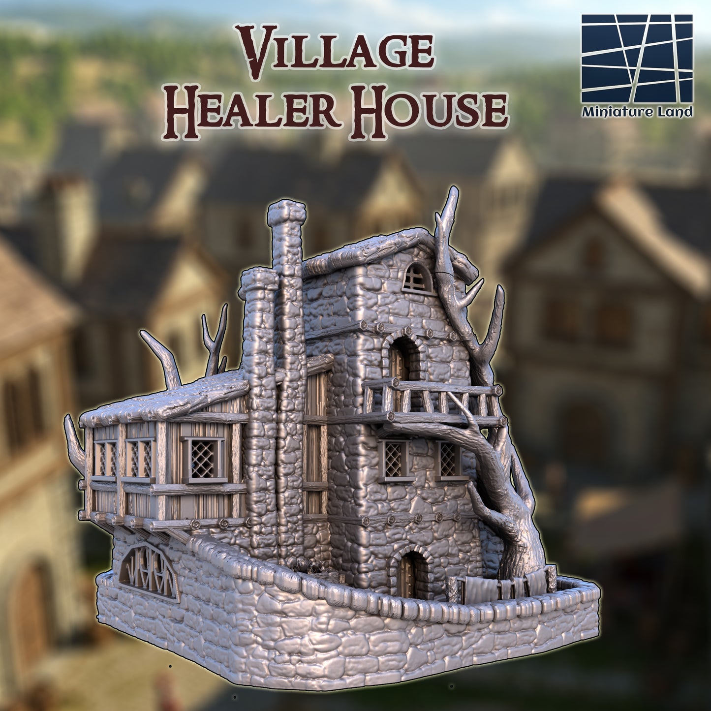 Village Healer House 4