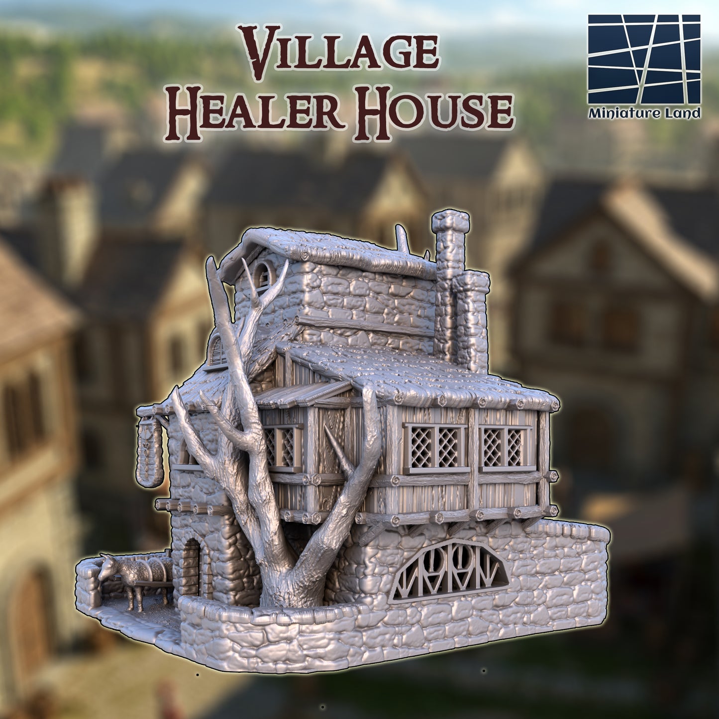 Village Healer House 5