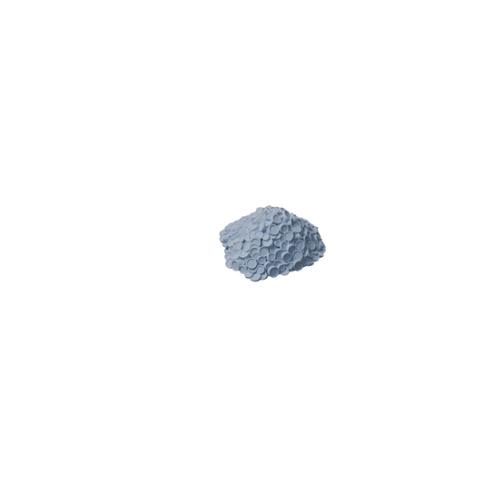 Coins B