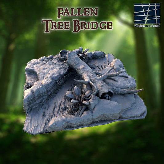 Fallen Tree Bridge 1