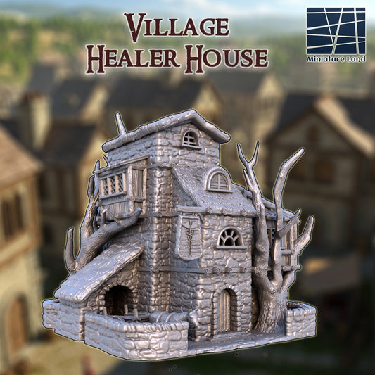 Village Healer House 1