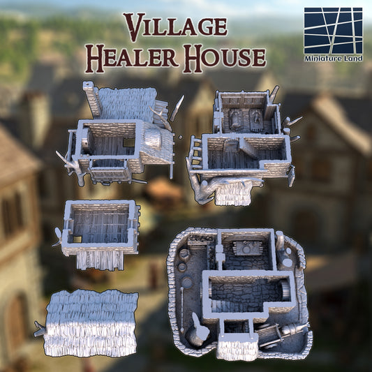 Village Healer House 2