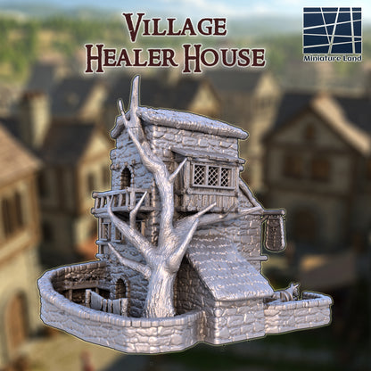 Village Healer House 3