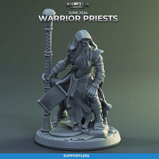 Warrior Priest Male 02