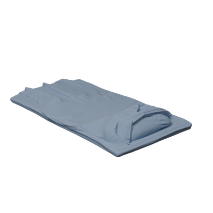 Bedroll