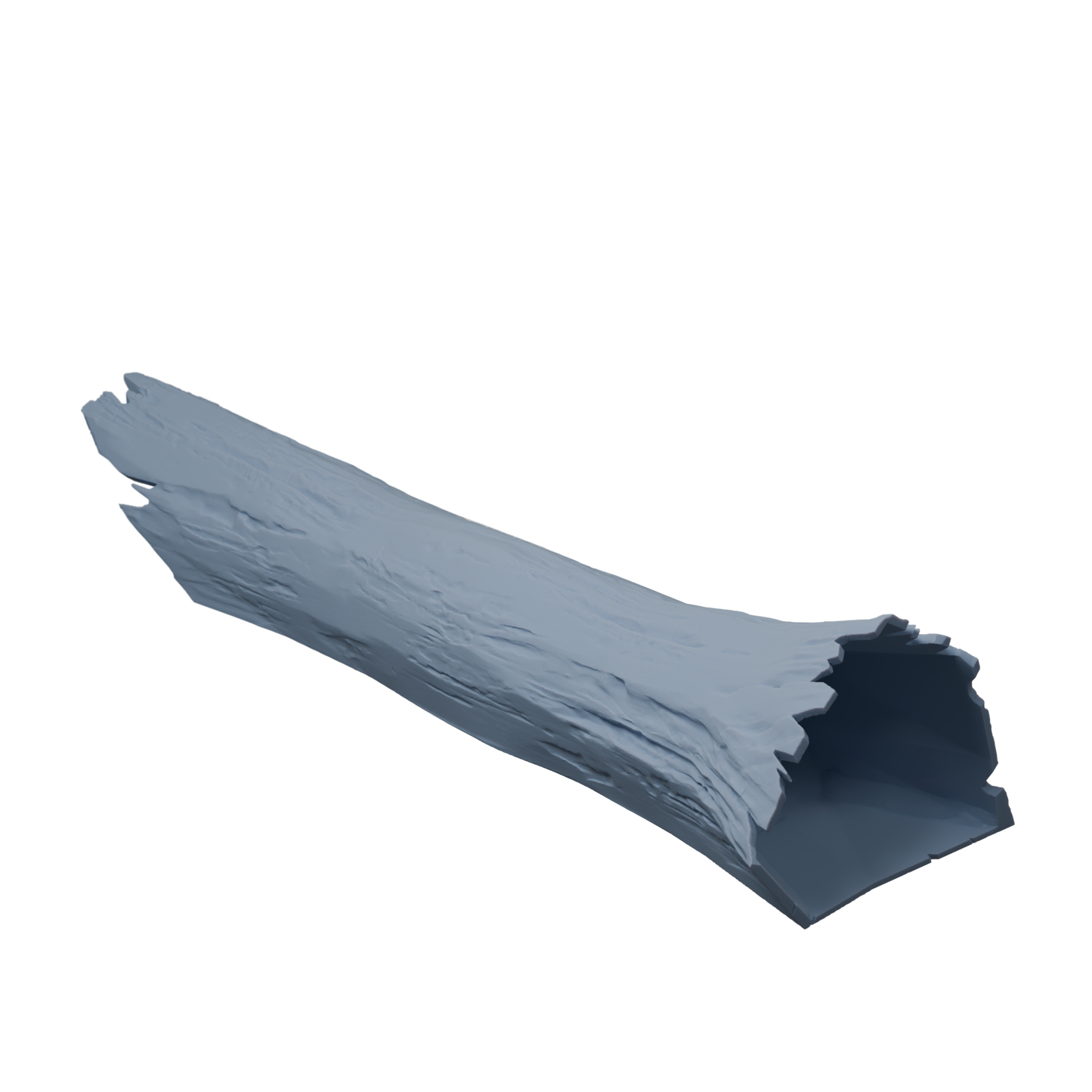 Fallen Log