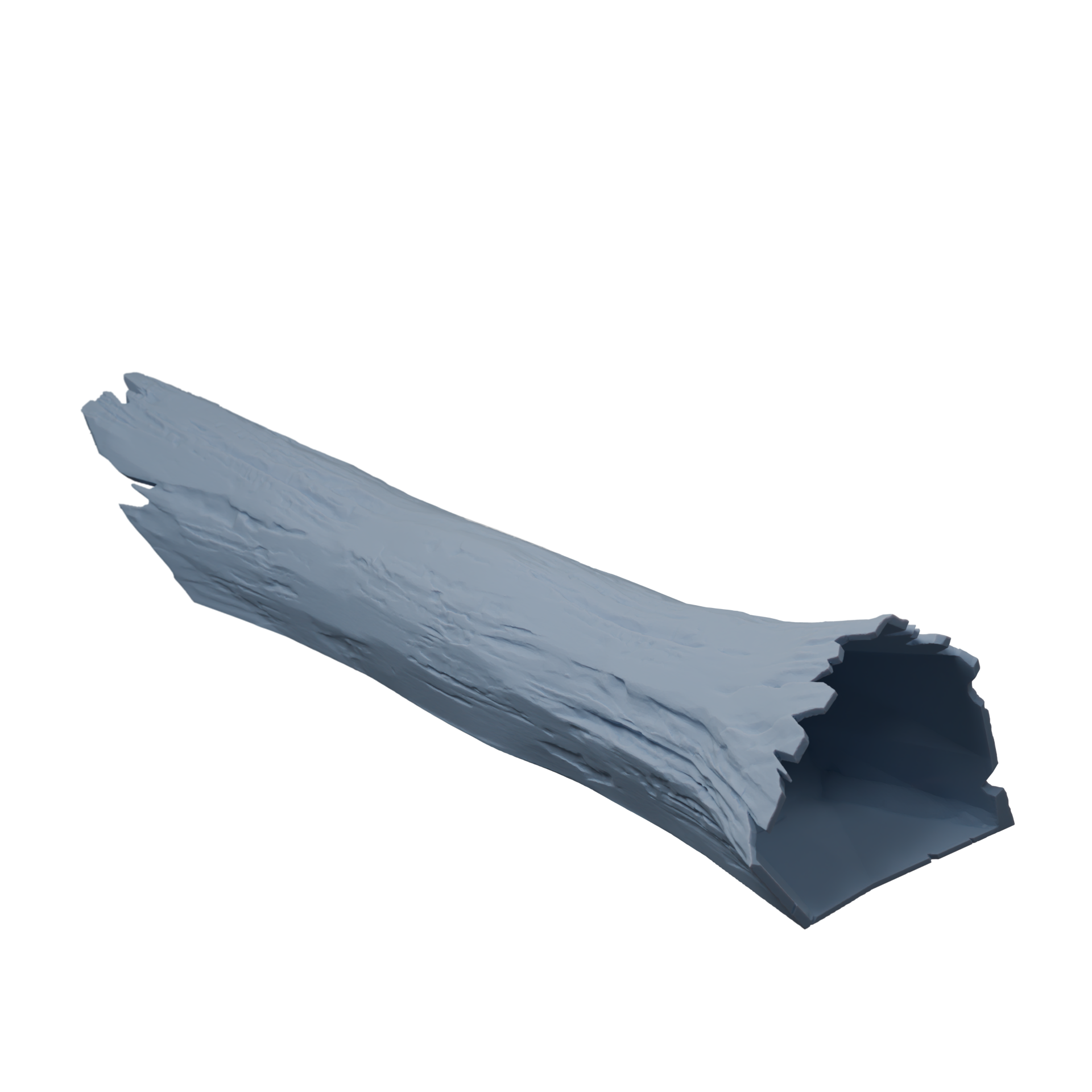 Fallen Log