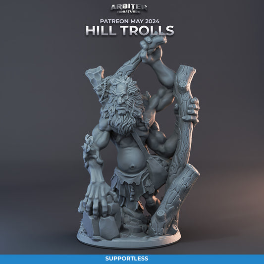 Troll 02
